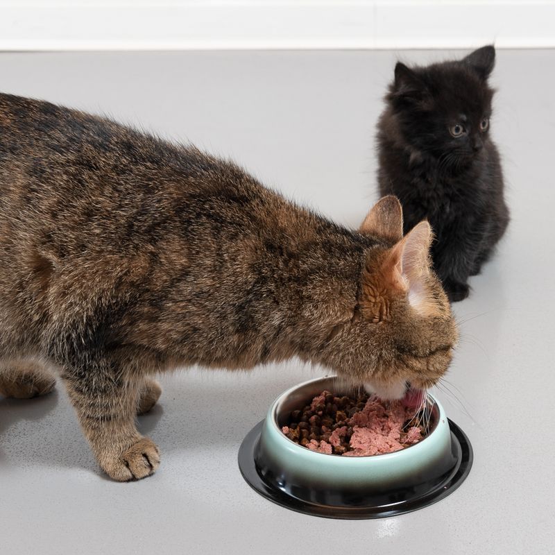 TIAKI Anti-Slip Bowl - Green Shades 250 ml, diameter 15.7 cm