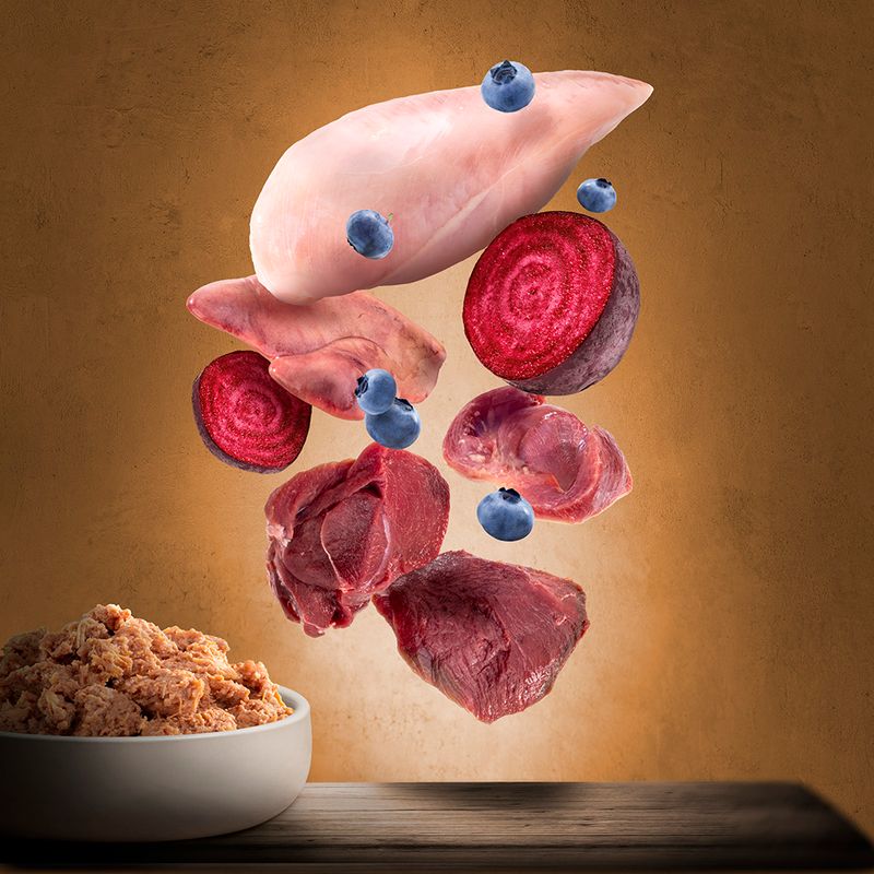 Purizon Adult Saver Pack 24 x 200g Chicken Fillet with Turkey & Salmon