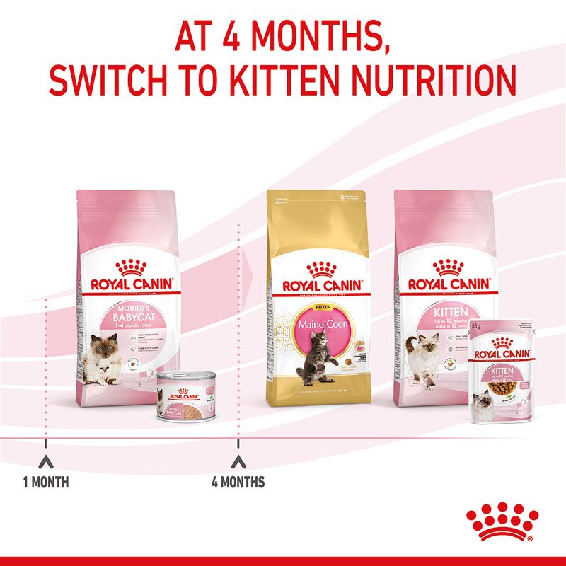 Royal Canin Mother & Babycat Ultra Soft Mousse 12 x 195g