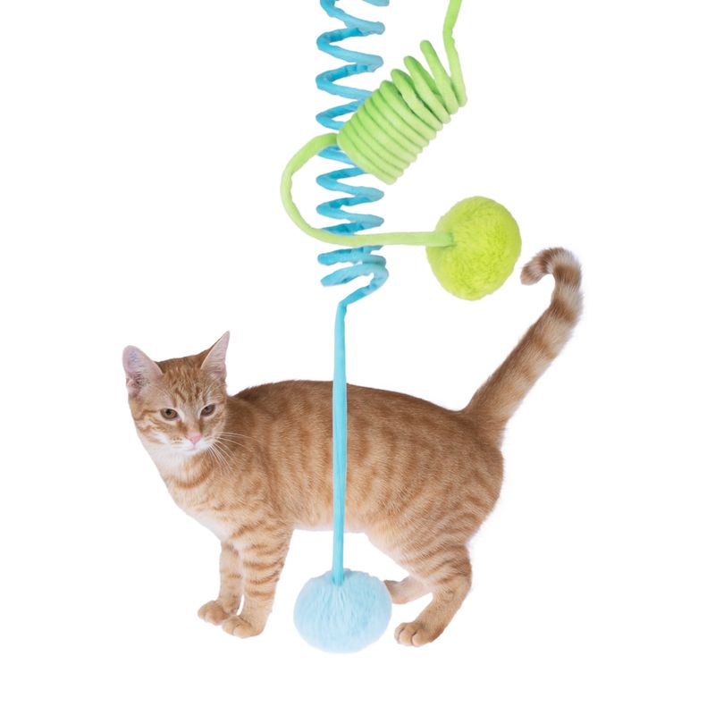 zooplus Basics Spiral Cat Toy Set Set of 2