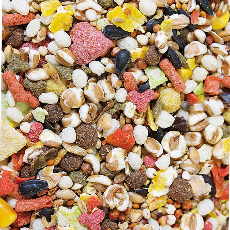 JR Farm Feast for Rats 2.5 kg