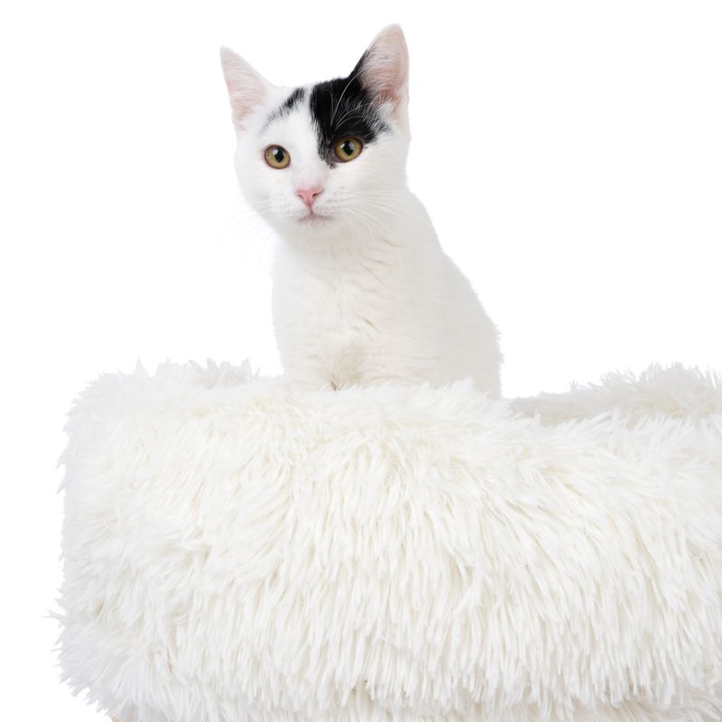 TIAKI Harry Scratching Post White