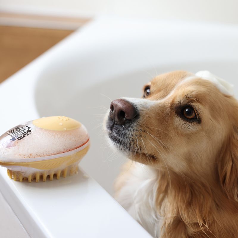 Kerbl MagicBrush Bath Brush 11.5 x 7.5 x 6cm (L x W x H)