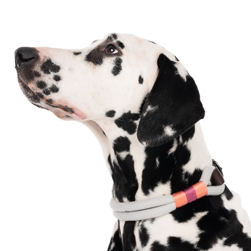 Nomad Tales Spirit Collar, stone Size S: 36 - 40 cm neck circumference, W 30 mm