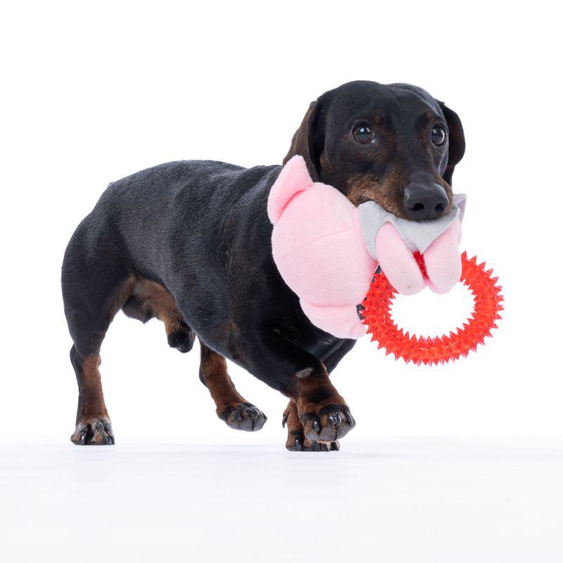 Warner Bros™ Harry Potter Dobby with Ring Dog Toy approx. 19 x 15 x 5 cm (L x W x H)