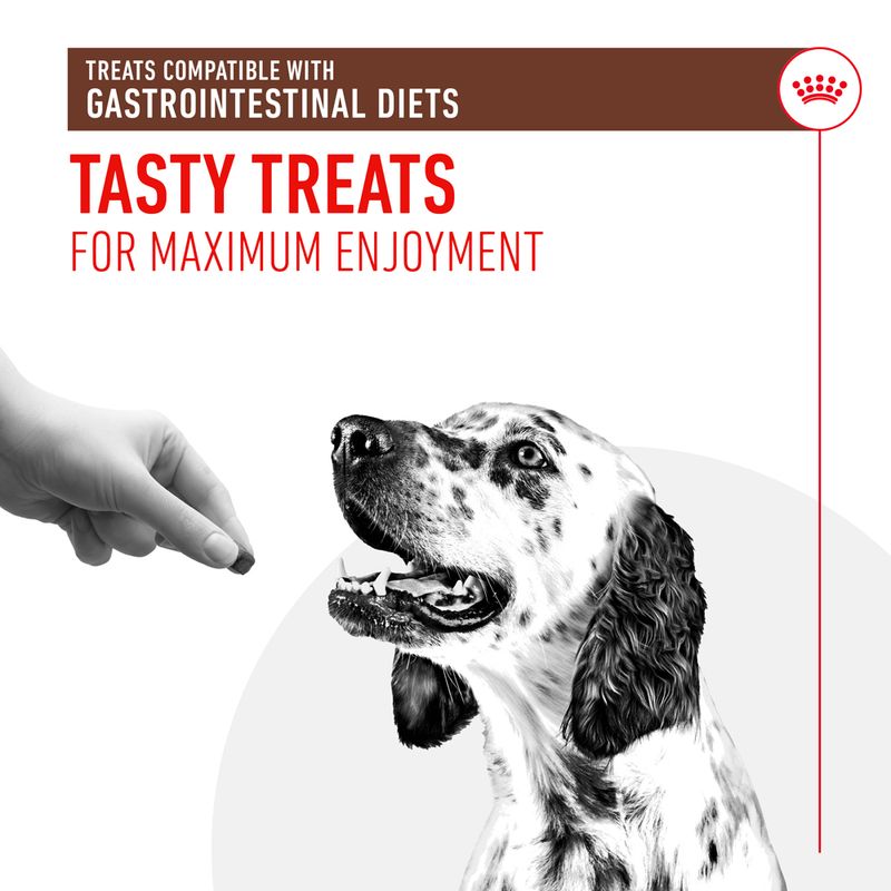 Royal Canin Gastrointestinal Treats 230g (150 pieces)