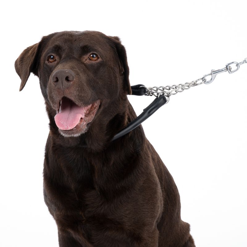 TIAKI Chain Dog Collar approx. 45cm Neck Circumference