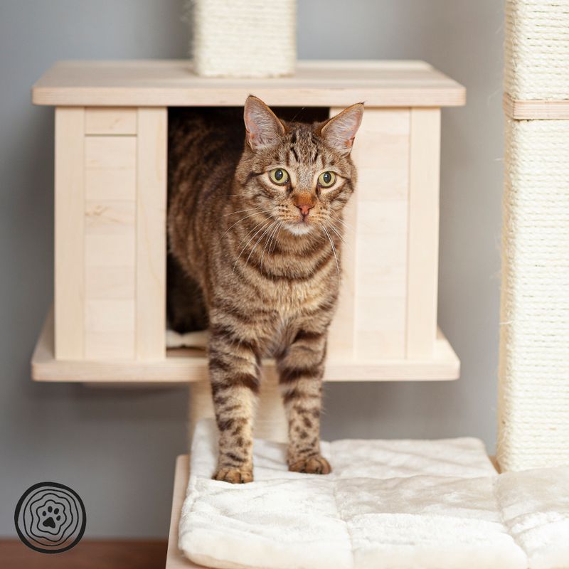 Natural Paradise Scratching Tree - Orchid Vanda L Cream