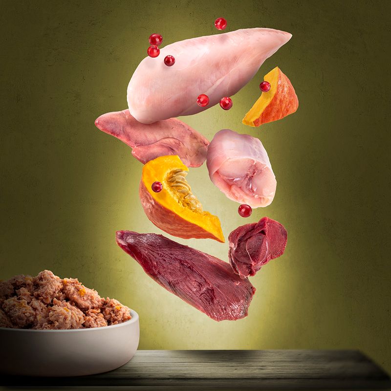 Purizon Adult Mixed Packs 6 x 800g Adult Mixed Pack: 4 Varieties