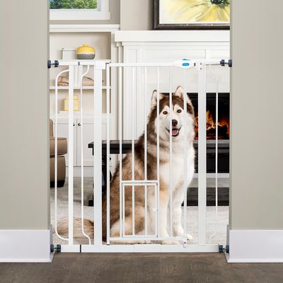 Carlson Extra High Pet Gate with Cat Flap Height 91.44cm, Width 73.66 - 92.71cm