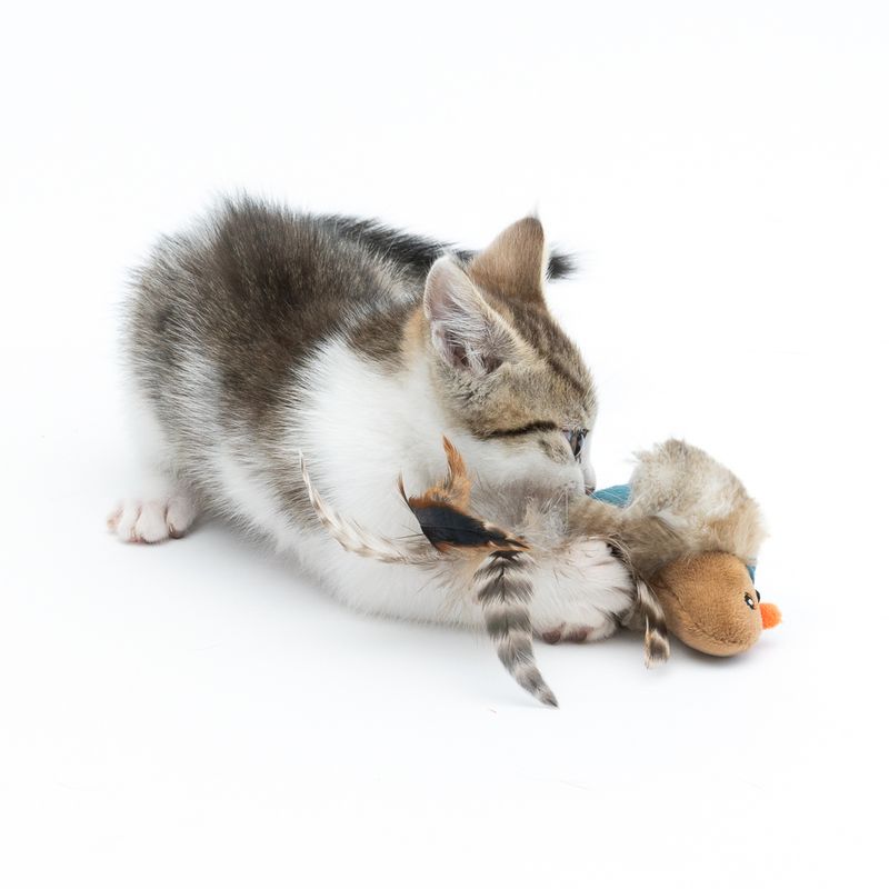 TIAKI Electronic Cat Toy Pipo 1 toy