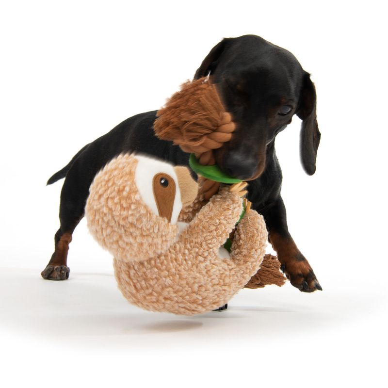 Sloth Dog Toy 1 Toy