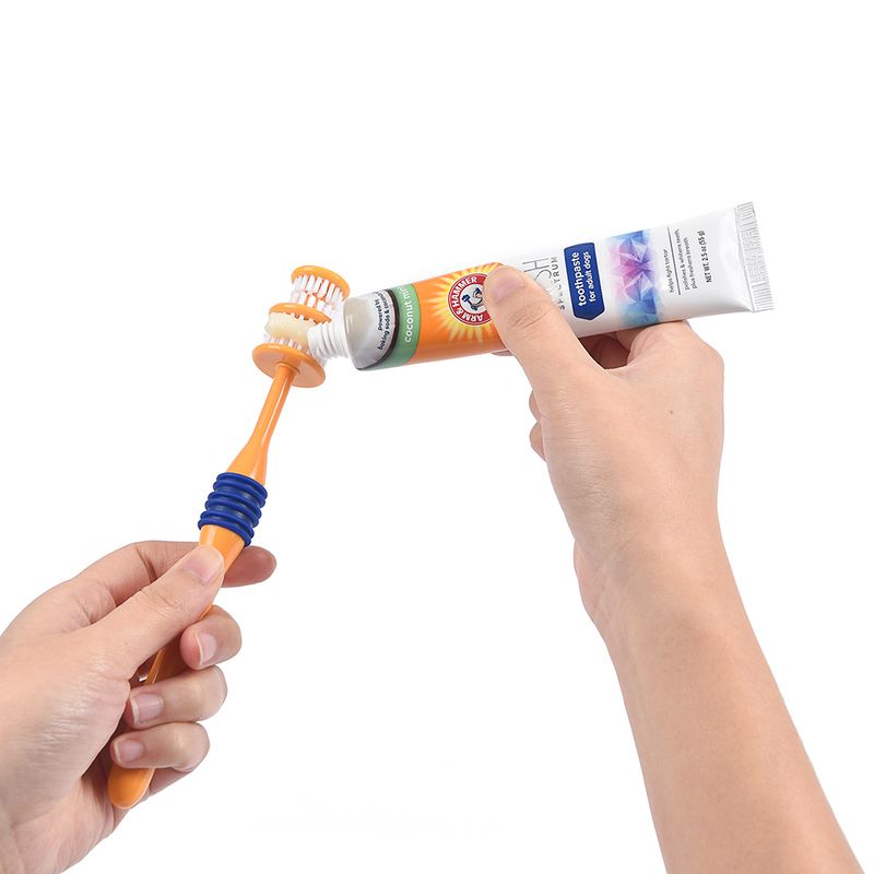 Arm & Hammer Dental Care Set with Toothbrush & Toothpaste 3-Piece Set