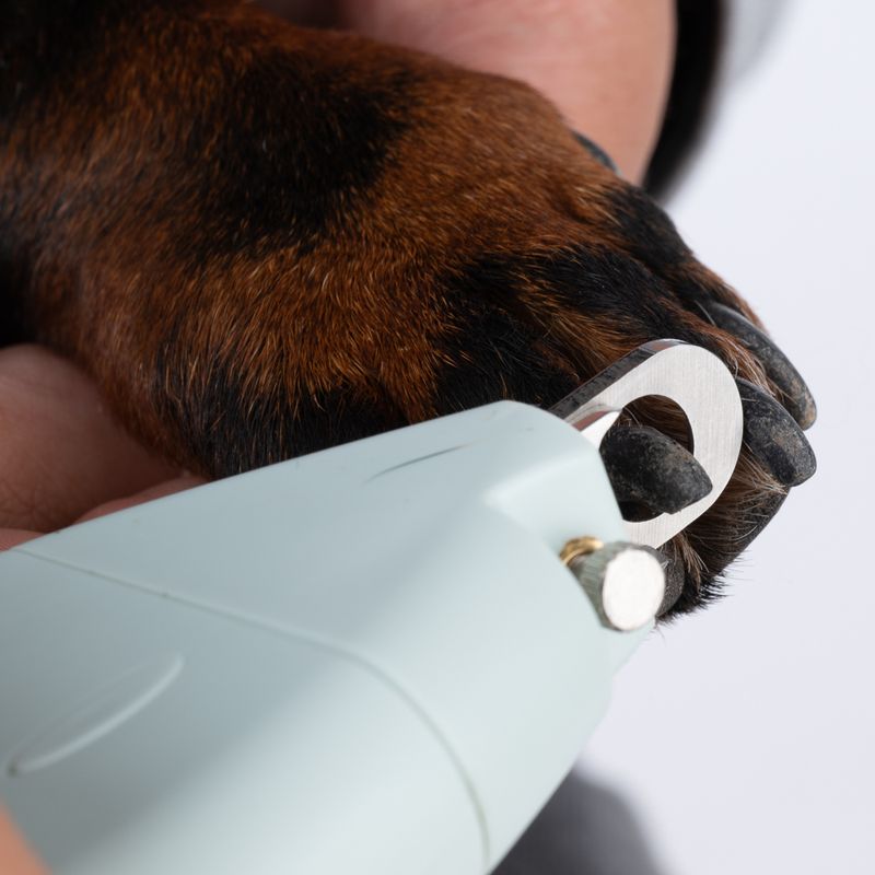 kooa Nail Clippers for Dogs 15.9 x 6 x 2.5cm (L x W x H)