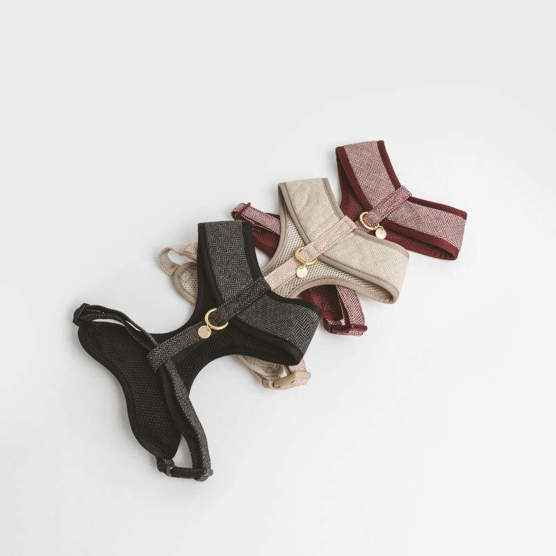 Nomad Tales Calma Harness - Sand Size XS: 26 - 34 cm chest circumference