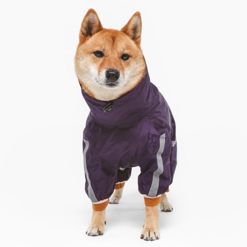 Nomad Tales Spirit Dog Overalls - Berry approx. 35cm Back Length