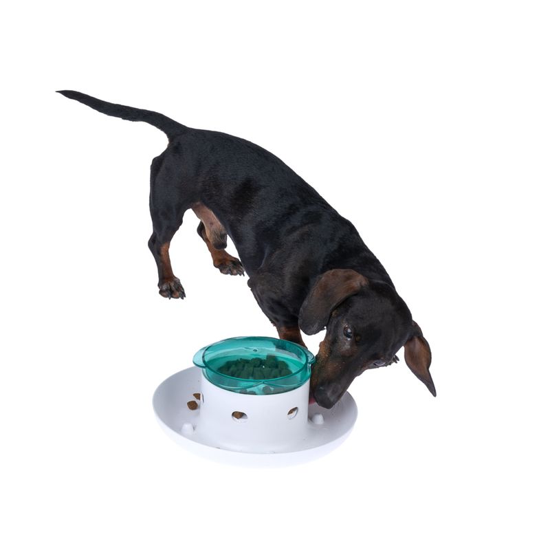 TIAKI Daisy Interactive Food Dispenser 1 Dispenser