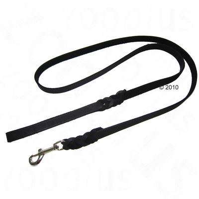 Heim Plaited Leather Dog Lead - Black 200cm