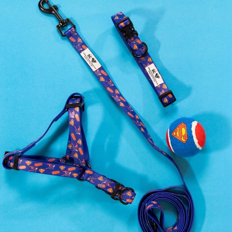 DC Superman Harness - Blue Size S: Chest Circumference 39 - 51 cm
