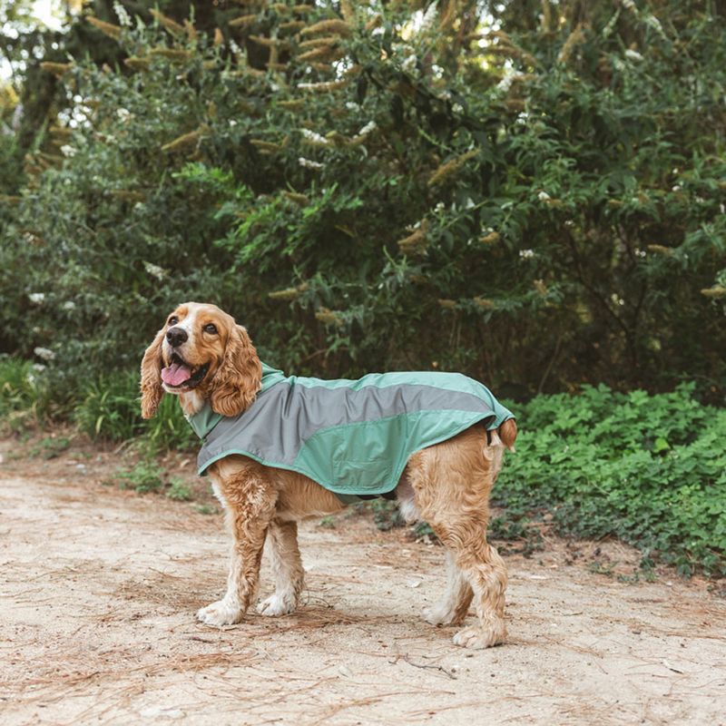 Nomad Tales Spirit Reflective Dog Raincoat - Mint approx. 35cm (Back Length)