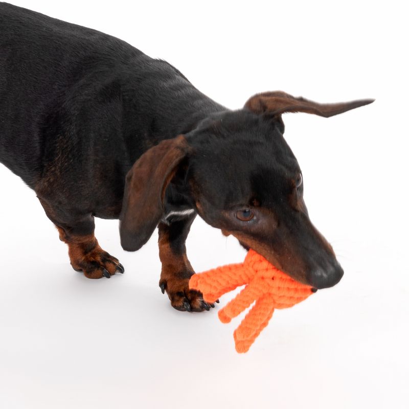 TIAKI Dog Toy Octopus approx. Ø 12 x H 7 cm