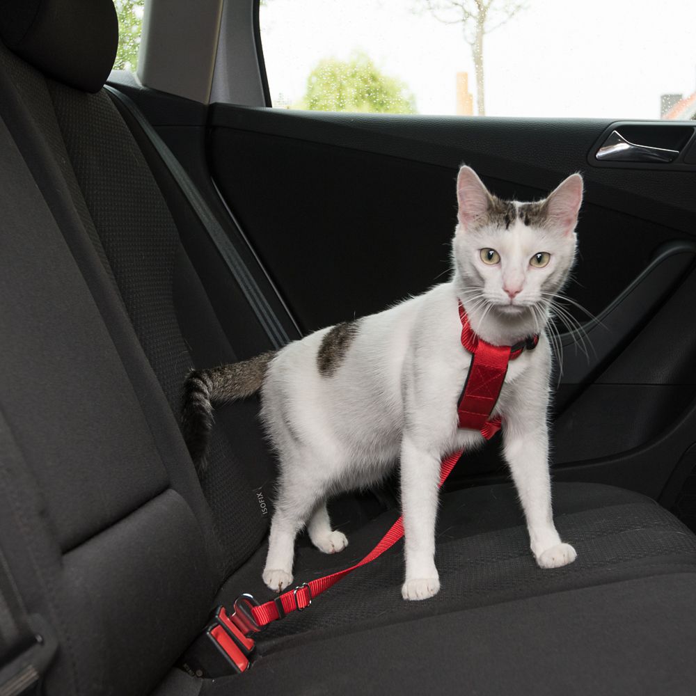 Trixie Cat Car Harness Red