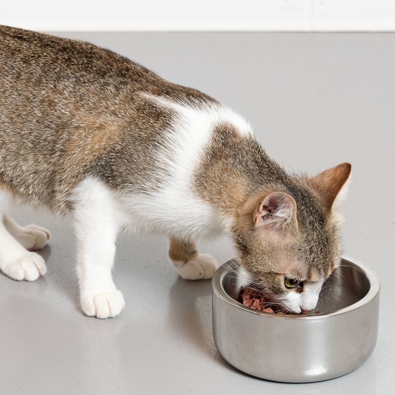 Modern Living Double-walled premium bowl Bayi 400 ml, diameter 13 cm