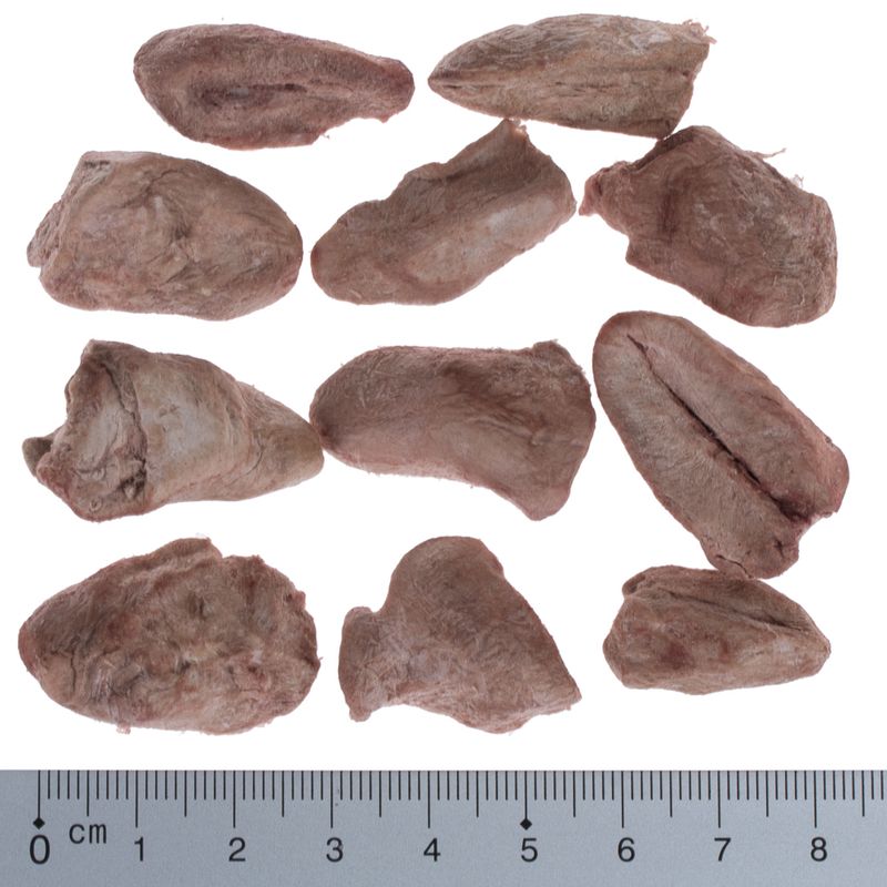 Wolf of Wilderness RAW Freeze-dried Snacks Saver Packs 4 Varieties: Lamb, Chicken, Beef, Duck (300g)