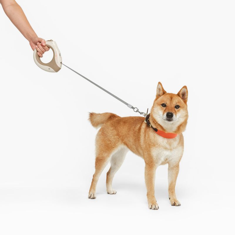 Nomad Tales Calma Retractable Lead with LED up to 15kg, approx. 3m (L)