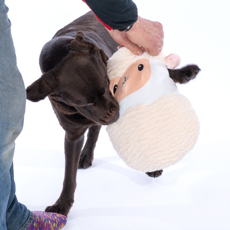 TIAKI Sheep Dog Toy Mini: diameter 15 x (H) 18 cm