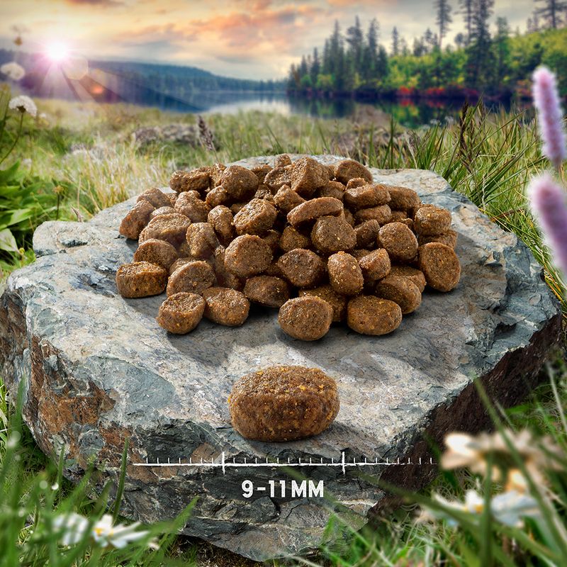 Purizon Adult Grain-Free Lamb with Fish 400g