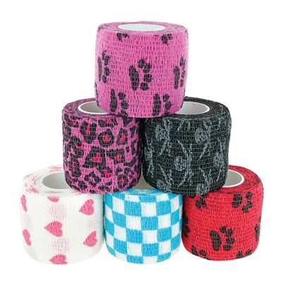 PAWS & PATCH Adhesive Plasters Pirate Box, 6 Rolls