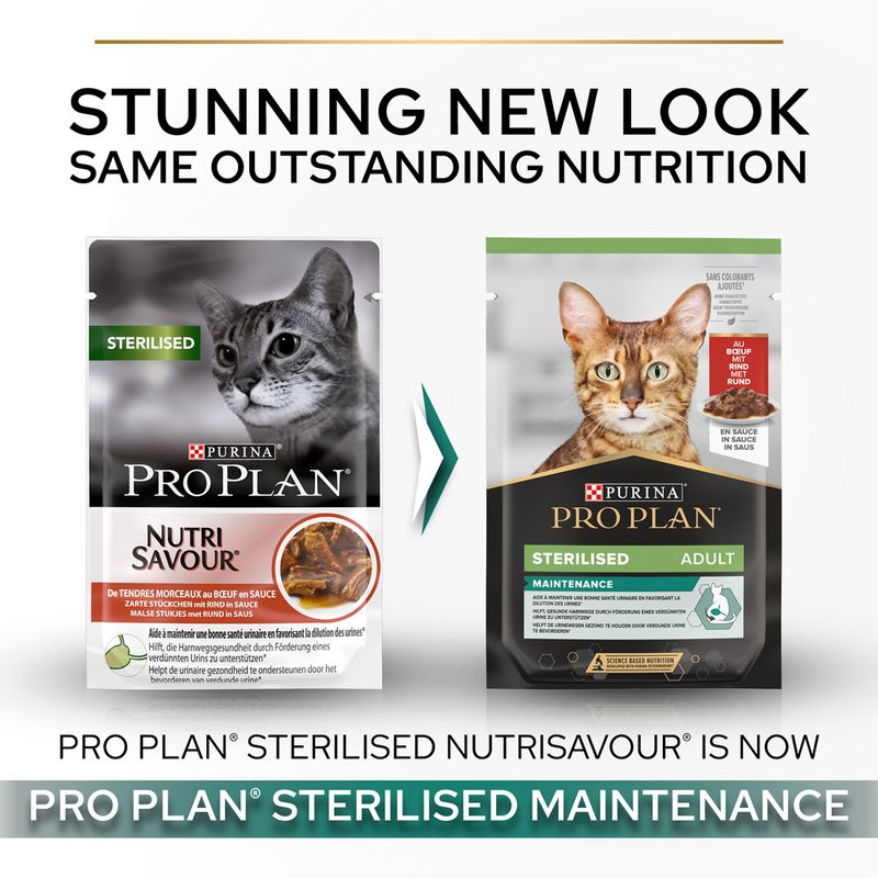 PURINA PRO PLAN Sterilised Adult Maintenance 6 x 85g Beef