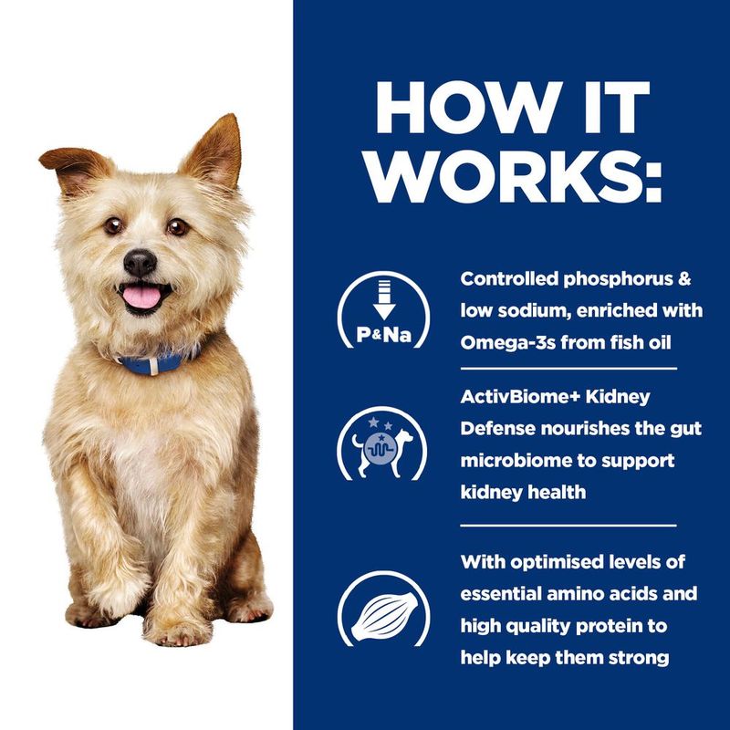 Hill's Prescription Diet Canine k/d Kidney Care - Original 12 x 180g