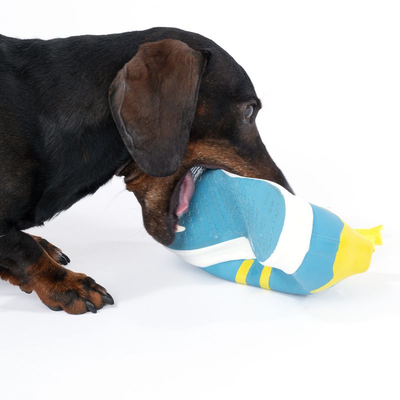 TIAKI Trainer Latex Dog Toy 23.5 x 8 x 10 cm (L x W x H)