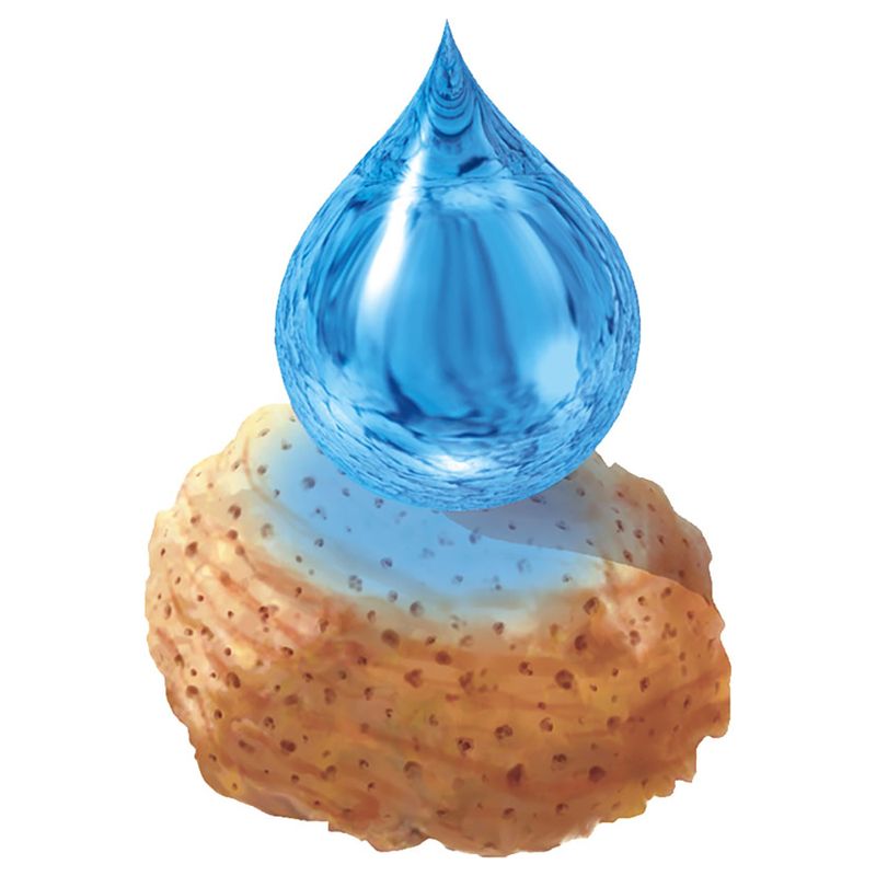 Catsan Naturelle Plus Cat Litter 20l