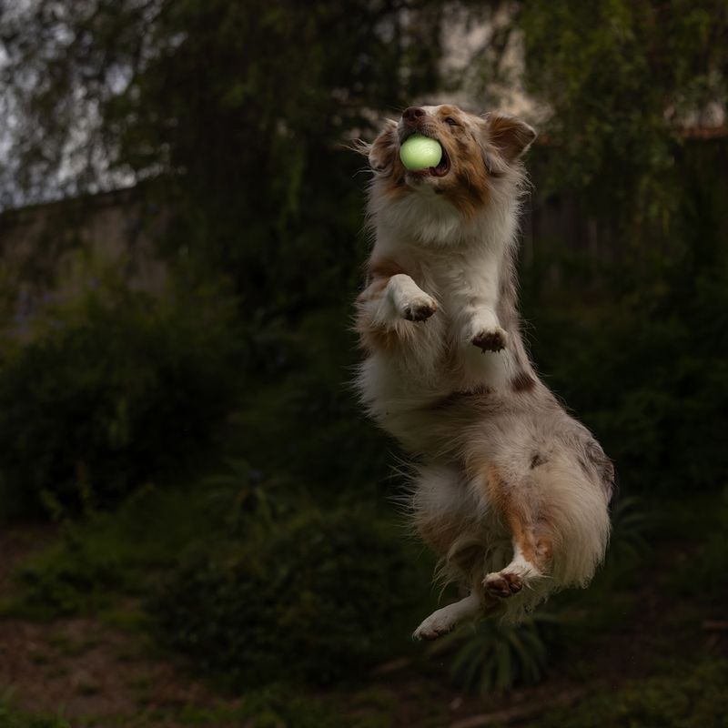 Chuckit! Max Glow Ball Size M: diameter 6.5cm