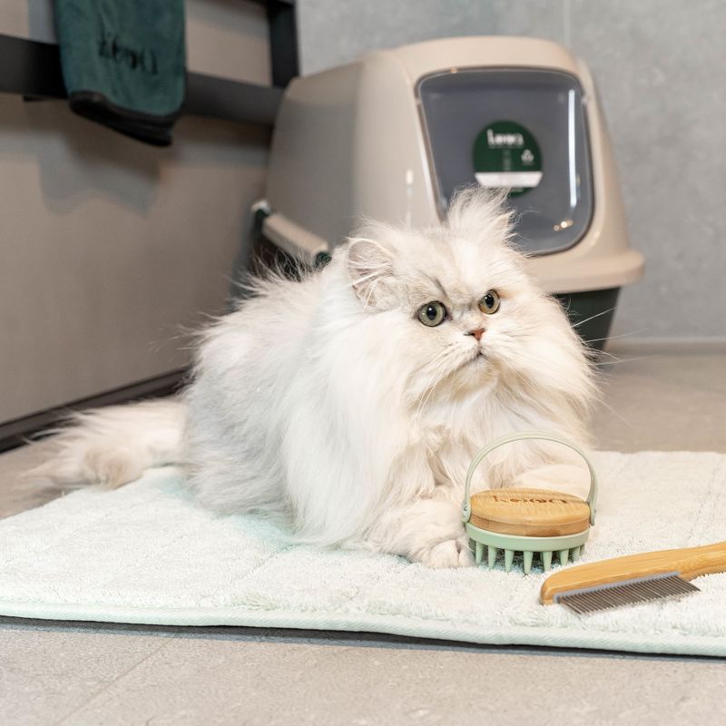 kooa Antibacterial Toilet Mat L 50 x W 70cm