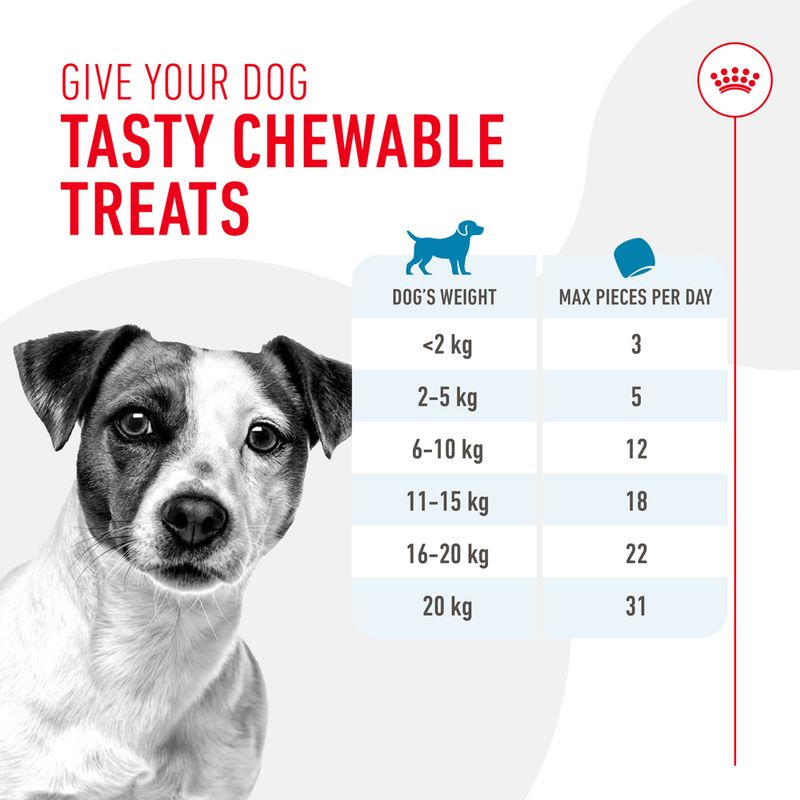 Royal Canin Training Treats 110g (120 pieces)