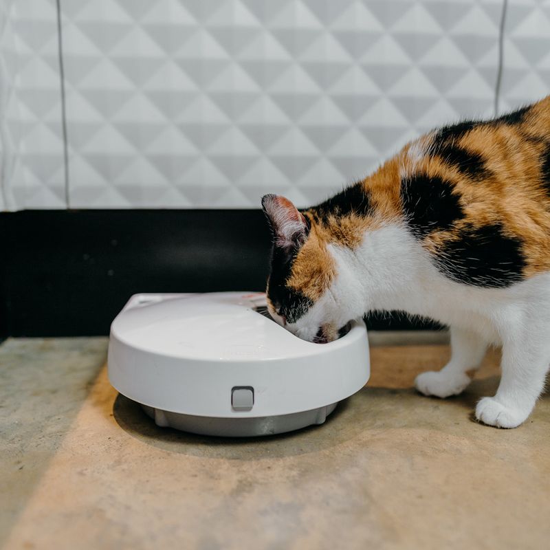 Cat Mate C500 Automatic Feeder 5-Meal Feeder