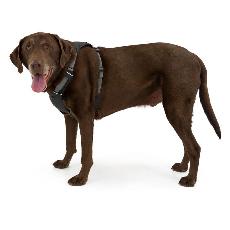 Ruffwear Hi & Light Harness -Twilight Grey Size XS: 43 - 56cm Chest Circumference