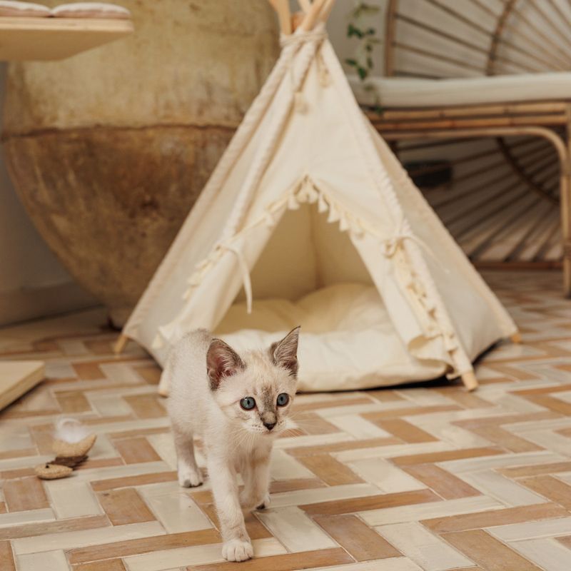 Modern Living Lima Cat Tent 76 x 73 x 74 cm (L x W x H)