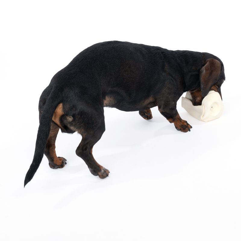 TIAKI Toilet Roll Latex Dog Toy diameter 9 x (H) 11.5 cm