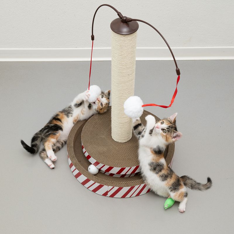 TIAKI 4-in-1 Multi-Toy Scratching Post for Cats 1 Toy