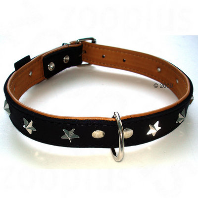 Heim Leather Dog Collar - Stars Size 40