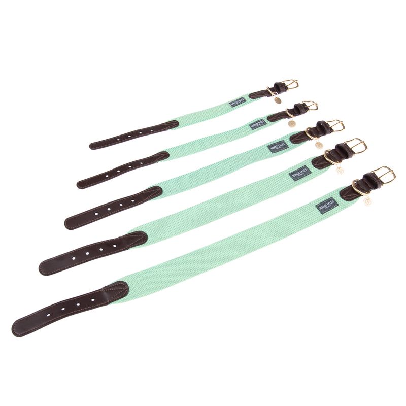 Nomad Tales Bloom Collar, mint Size XS: 30 - 36 cm neck circumference, W 25 mm