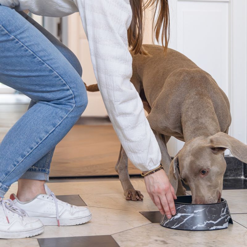 Designed by Lotte Marble Melamine Feeding Bowl - Black 350ml, diameter 17.5cm