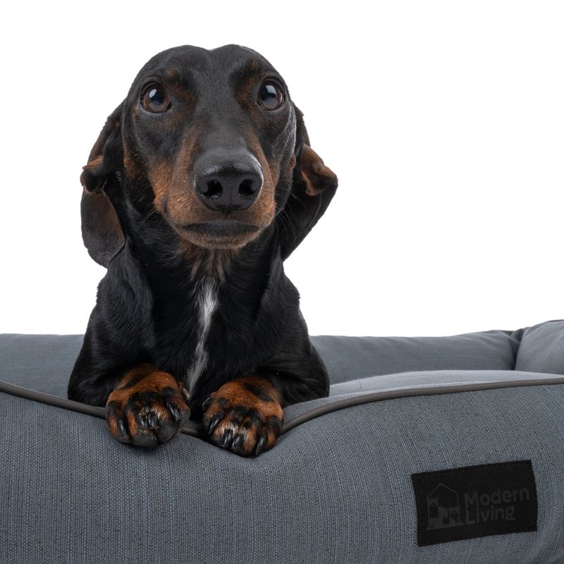 Modern Living Skara Dog Bed - Dark Grey Size M: 100 x 70 x 21 cm (L x W x H)
