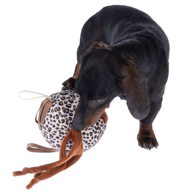 zooplus Basics Leopard Print Treat Ball 1 Treat Ball