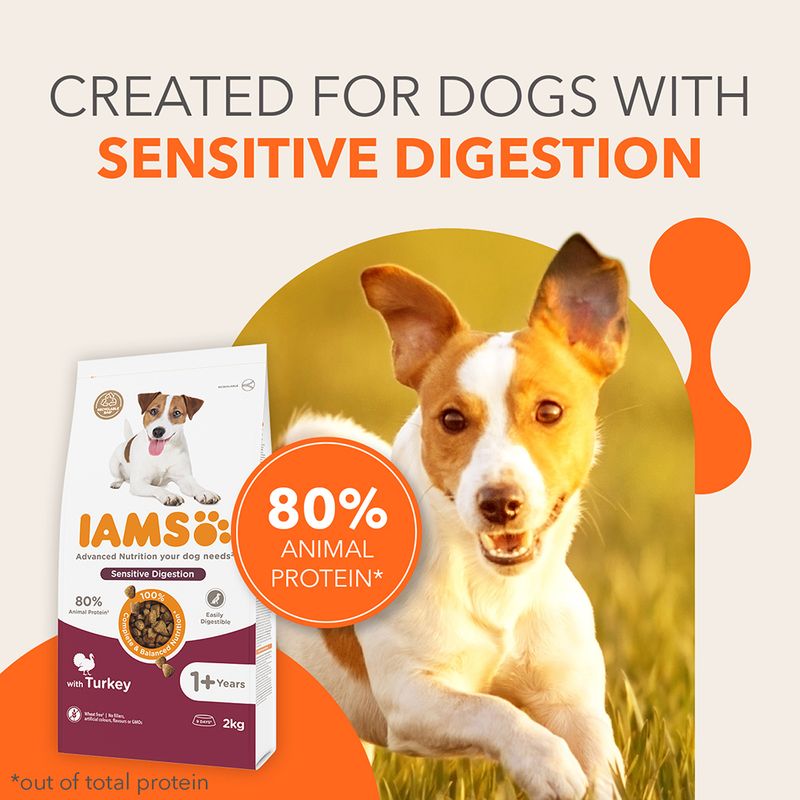 IAMS Advanced Nutrition Sensitive Digestion with Turkey 12kg